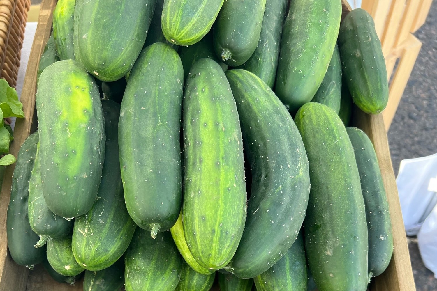 Cucumbers